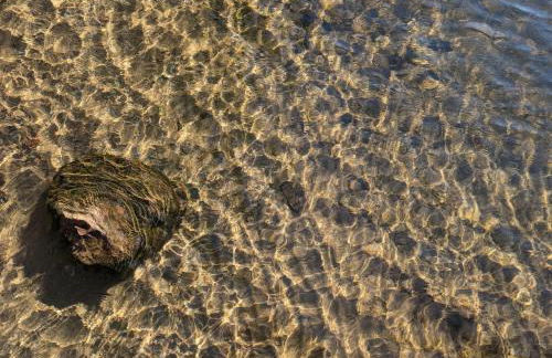 Tranquility Point in Lac du Flambeau WI - Photo 38
