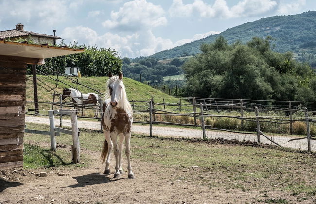 Agriturismo Goccia di Luna - Foto 65