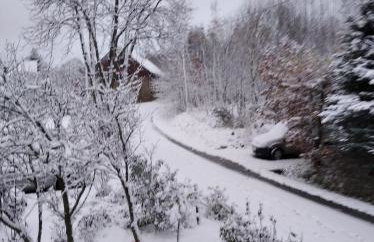 Róże i Jabłonie Agroturystyka - Foto 4