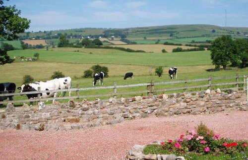 New Park Farm - Church Cottage - Foto 21