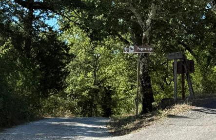 Poggio Ugo - Foto 47