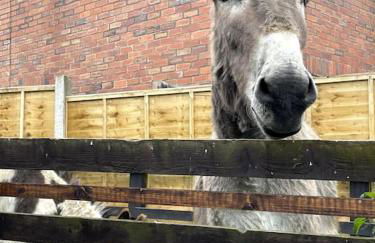 4 bedroom - Sleep 9 home in Cheadle Staffordshire - Alton towers Polar Express Dimmingsdale Peak District Trentham Gardens Water World - Foto 25