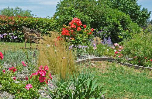 Pò delle Buche - Photo 2