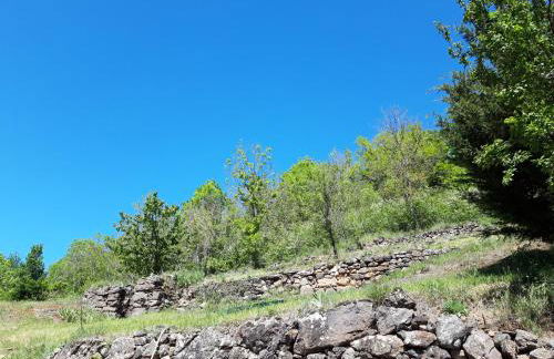La Meïzou, gîte - chambres d hôtes à Champeix - Photo 21