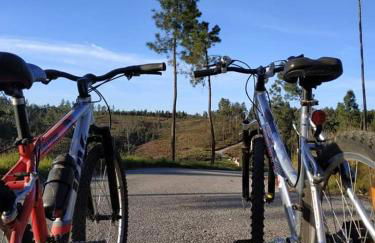 A Casa dos Avós - Alojamento Local - Foto 63