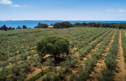 Casa Benessere Istria - Foto 41