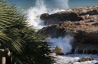 Attico mit Meerblick - Foto 31