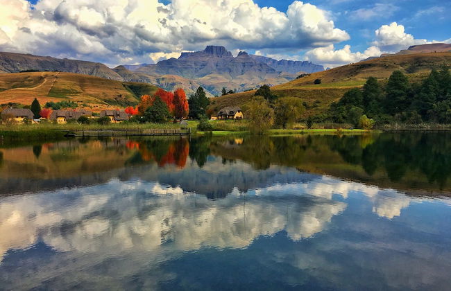 Champagne Haven - Foto 24