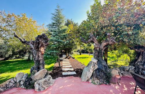 Finca La Ermita de Salinas-Rural House-Talavera-TO - Foto 27