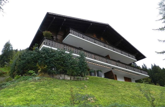 Hornflue (Baumann) - Foto 2