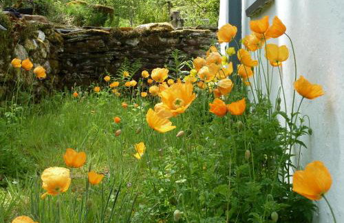 Dolmurgoch Snowdonia Cottage - Foto 13