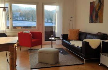 Ferienwohnung Belchenblick - Foto 2