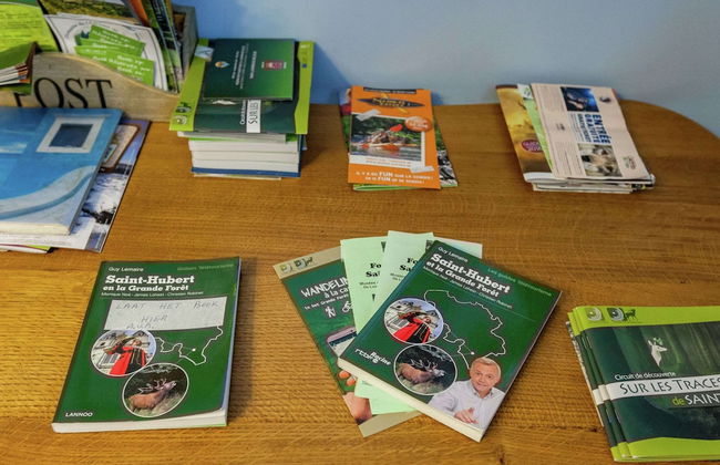 Wonderful Holiday Home in Saint-hubert With Sauna - Photo 26