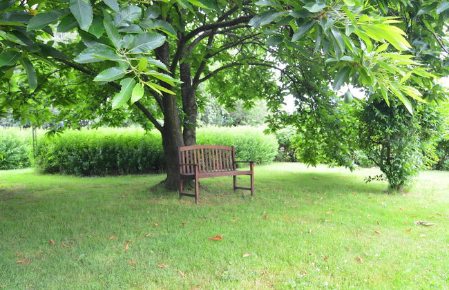 Holiday Home in Froidchapelle With Garden - Photo 38
