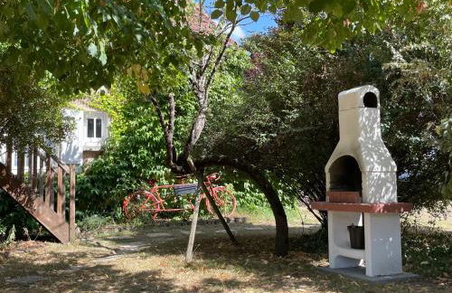 Le Clos des Trois Provinces, Zoo de Beauval - Foto 56