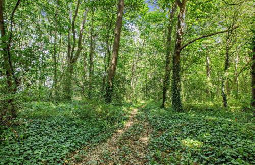 3 Bed in West Quantoxhead 96235 - Photo 27