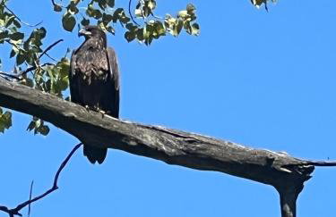 Quiver Beach Cabin - Photo 28