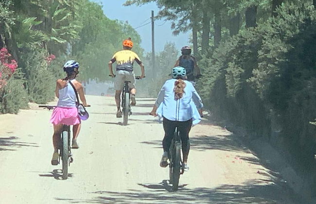 Guadalupe Valley Vineyards Bike Tour - Photo 6