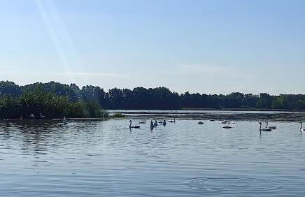 Ferienwohnung am Olbasee - Foto 27