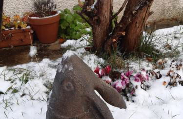 Springbank Cabin - Foto 29