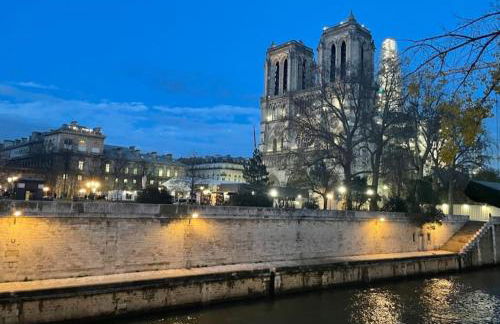 Magnifique maison 15 minutes du centre historique de Paris - Foto 37
