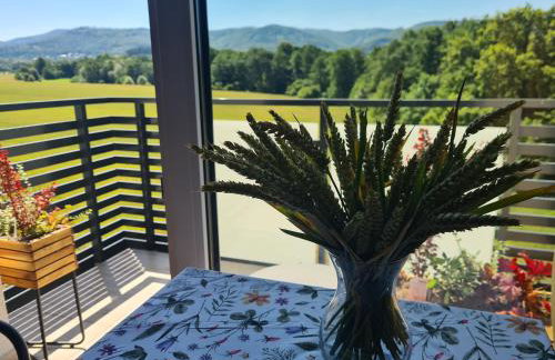 Złota Widokówka - Foto 45