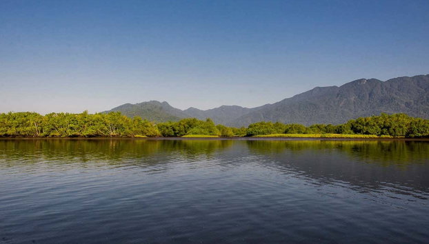 Senderismo por la cascada de Torre 47 - Foto 2, Parajes naturales de Bertioga