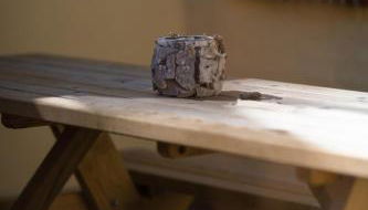 FeWo-Ahrenshoop - Foto 3