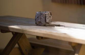 FeWo-Ahrenshoop - Foto 3