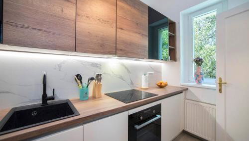 Apartment Rahela - Foto 5, stove, dishwasher