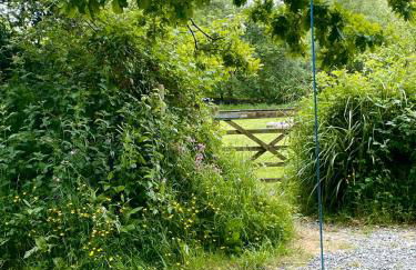 Naturesbase Lodge - Photo 36