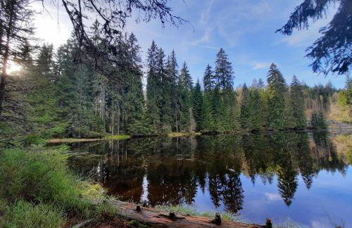 Appartement 13 im Haus Dreisessel - Foto 37