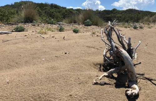 Elisa San Vincenzo Apartment - Foto 58