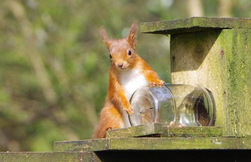 Ard Darach Lodge - Foto 8