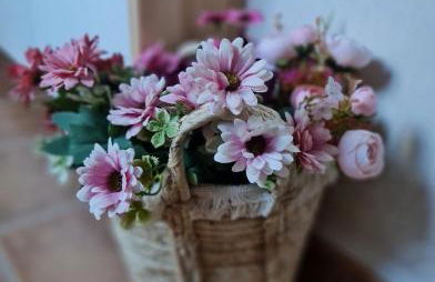 Entre Vistas - Foto 51