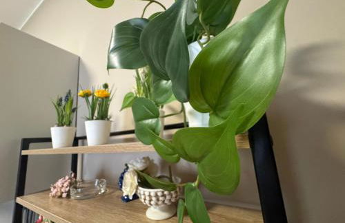 Palme Suites - Foto 47