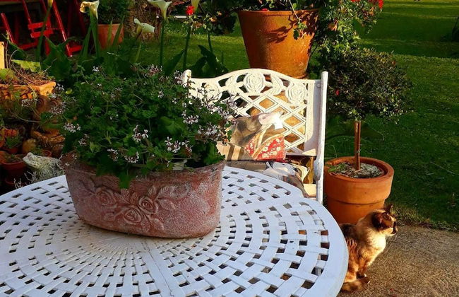 A Cortiña de Canalarrana - Foto 31