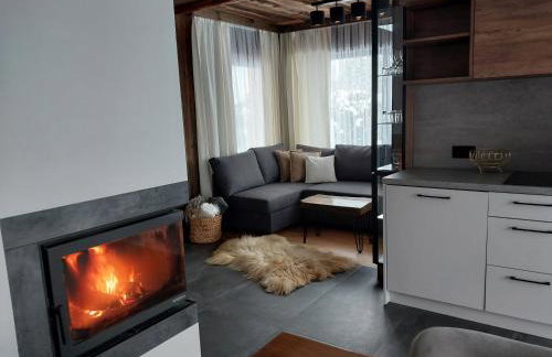 Willa Maciejka - Domek Narciarski - Foto 15