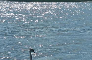 Floss Priepert 1 - Foto 26