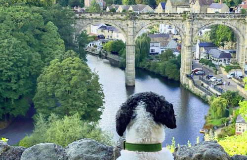 Sunflower Lodge, Lido Leisure Park, Knaresborough - Foto 22