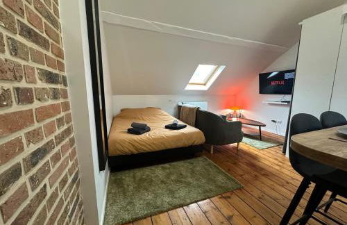 IMMEUBLE ST-PIERRE - GARE 10min - HORTILLONNAGES 5min - WIFI - TV HD - Foto 22