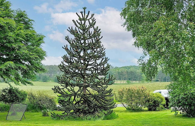 4 Person Holiday Home in Hundested - Photo 1