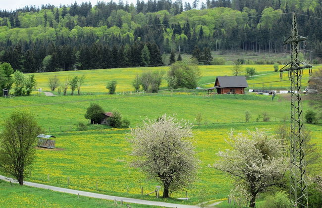 Serene Villa in Kstelberg near Lake & Watersports - Photo 32