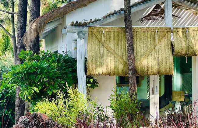 Cabana Lavanda Comporta by Boutique - Foto 46