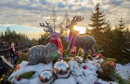 Ferienwohnung Schönblick inklusive Hallenbad, Sauna, Außenpool & Fitnessstudio, familienfreundlich ausgestattet - Foto 38