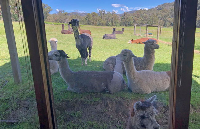 Valley Farm Vineyard Cottages - Foto 44