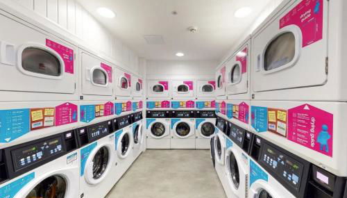 For Students Only Canvas Manchester - Foto 3