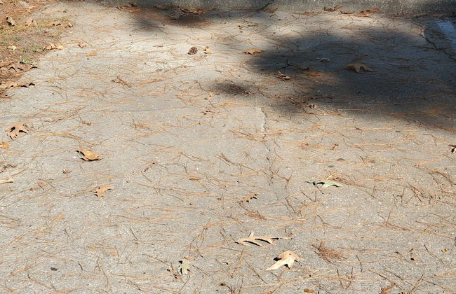 No Place Like Homeplace! II - Foto 28