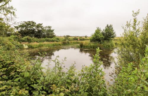 Ty Bach Twt - Foto 23