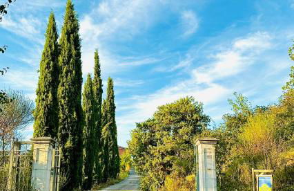 Chambres d'hotes Belle Etoile Ardèche - Photo 39